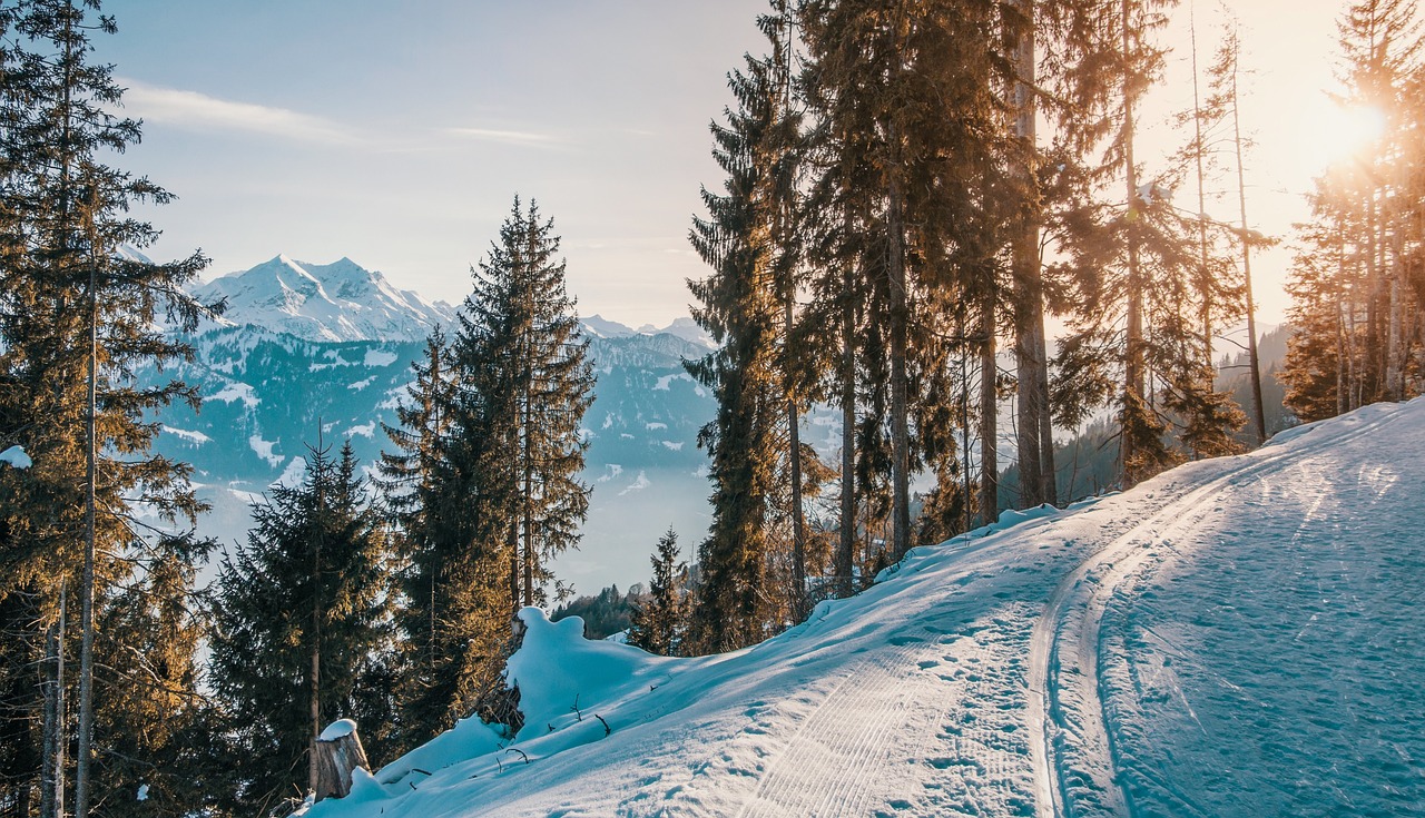 Narty biegowe jako idealna forma aktywności na zimę